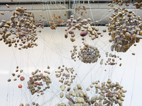 Jeanne van Heeswijk, Typologies and Capacities