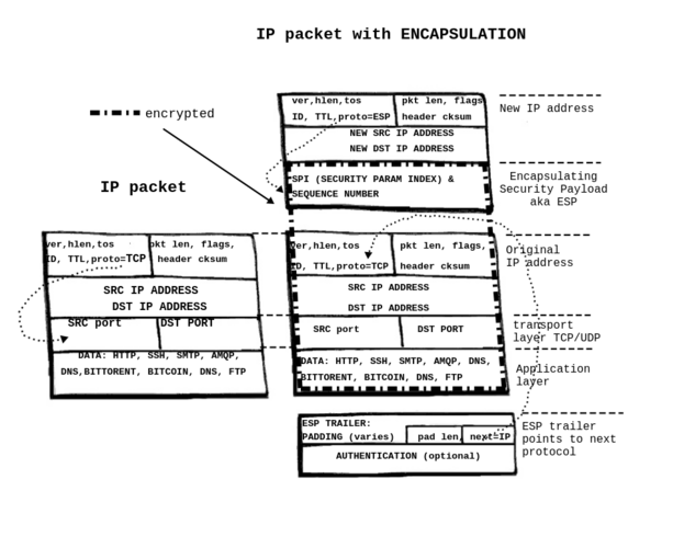 How IPSec encryption works with IPv4 data packet
